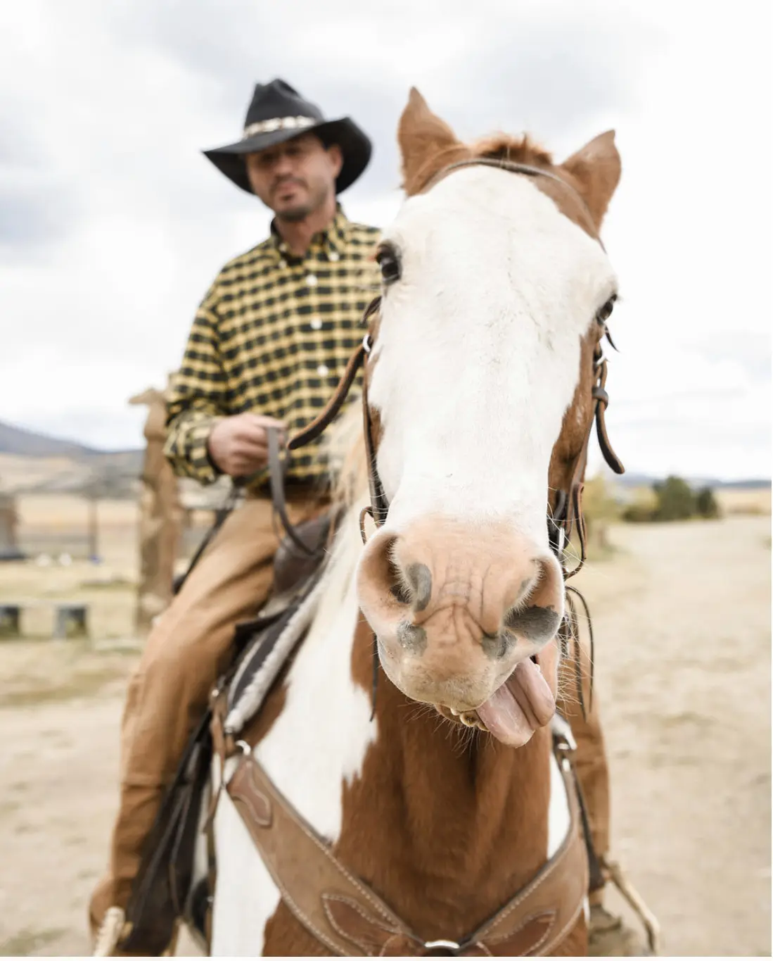 Horse sticking tongue out, rider in background.