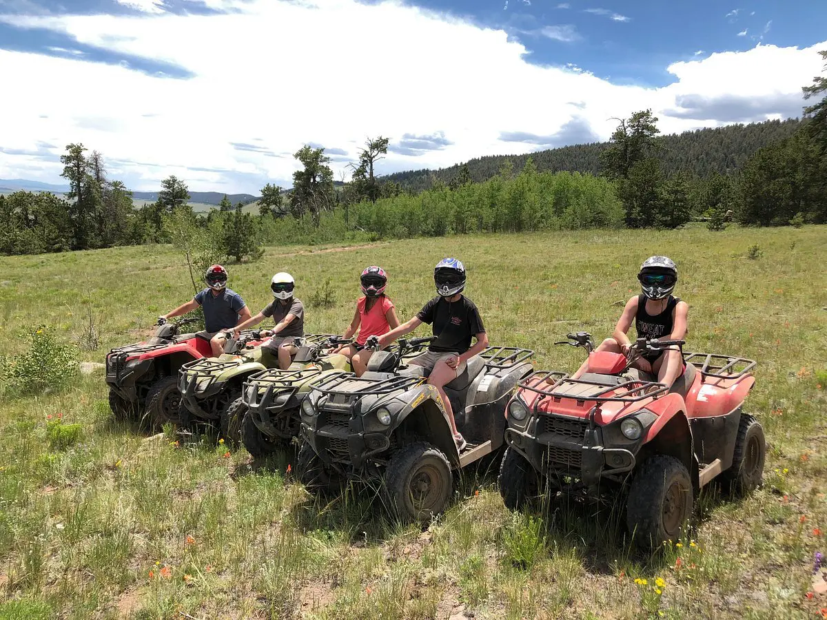 Five people on ATVs in grassy field.